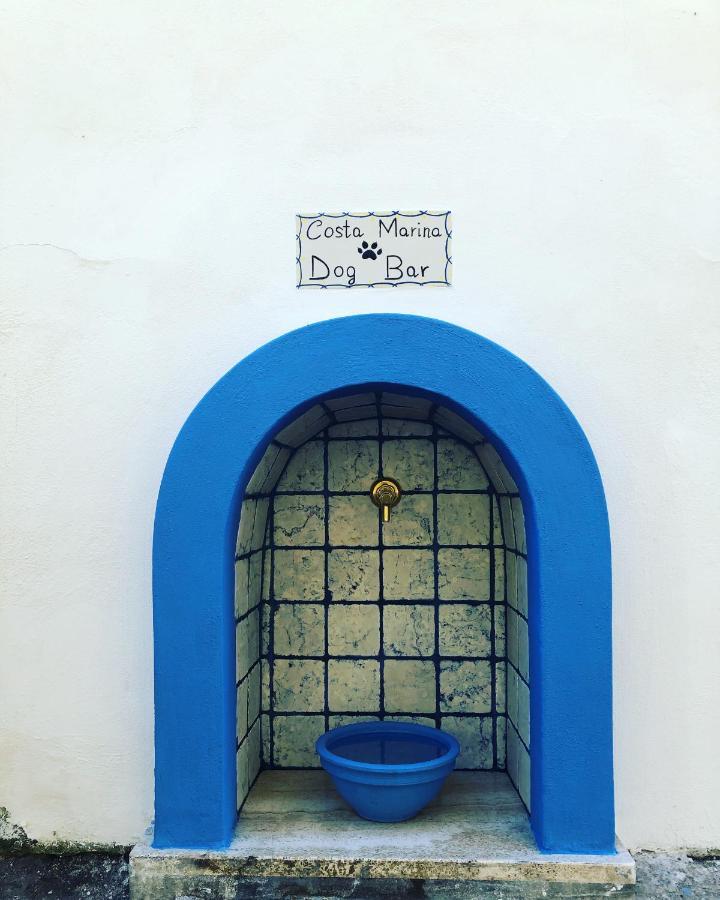 Casa Vacanze Costa Marina Fregenae Dış mekan fotoğraf