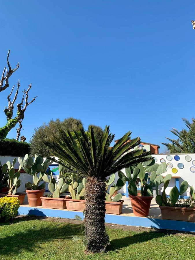 Casa Vacanze Costa Marina Fregenae Dış mekan fotoğraf