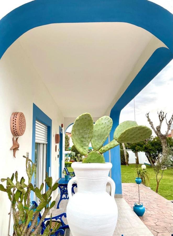 Casa Vacanze Costa Marina Fregenae Dış mekan fotoğraf
