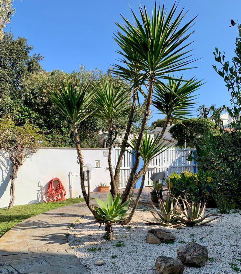 Casa Vacanze Costa Marina Fregenae Dış mekan fotoğraf